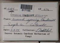 Image Associated With the Occurence